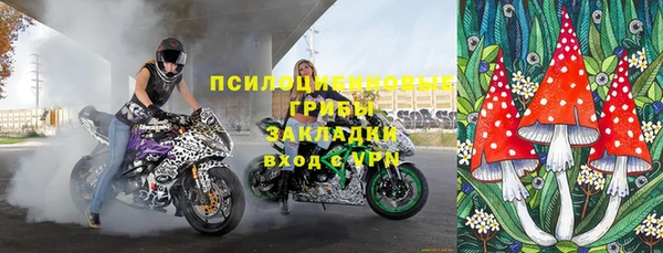 твердый Покровск