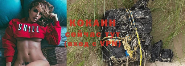твердый Покровск