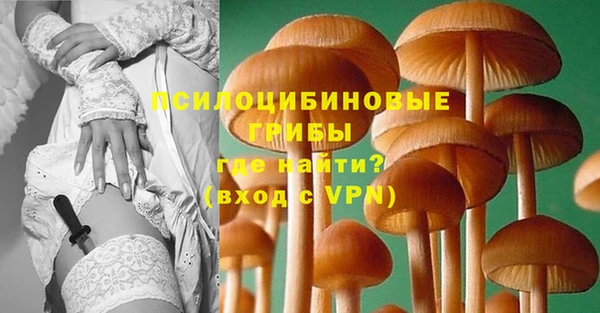 дживик Покров