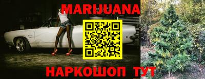 apvp Кингисепп