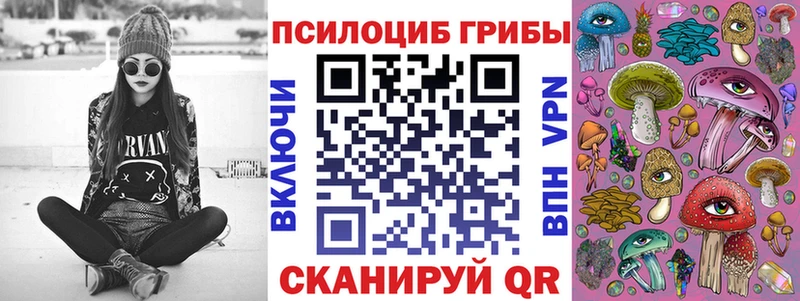 купить закладку  Хабаровск  гидра вход  Галлюциногенные грибы Cubensis 