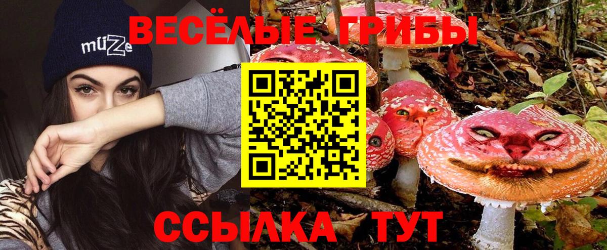 Галлюциногенные грибы Psilocybine cubensis  Галлюциногенные грибы Psilocybe  Хабаровск 