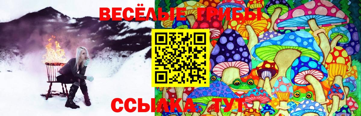 Псилоцибиновые грибы Psilocybe  Вход с VPN  Хабаровск 